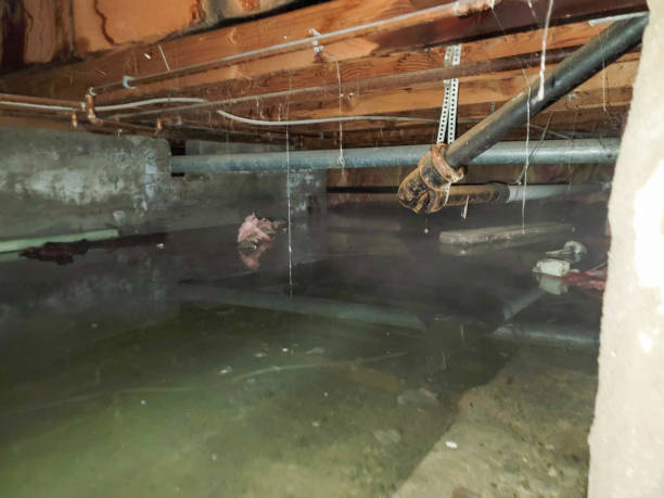 Best Sewage cleanup and water damage restoration  in Bethany, WV