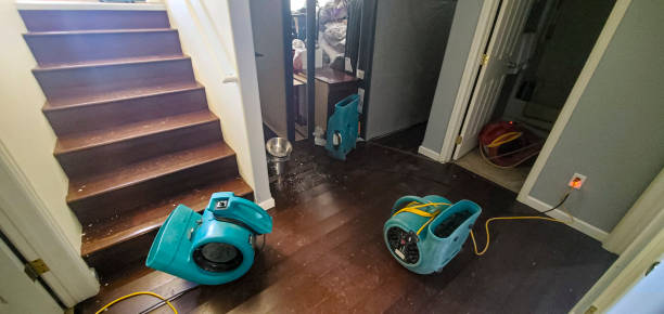 Best 24-hour water damage restoration  in Bethany, WV
