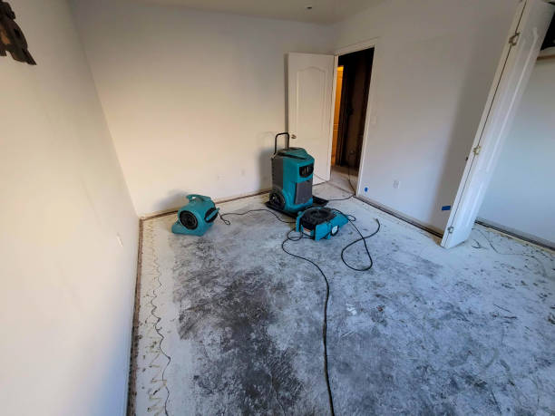 Best Water damage restoration specialists  in Bethany, WV