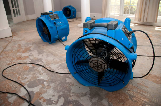 Best Mold removal after water damage  in Bethany, WV