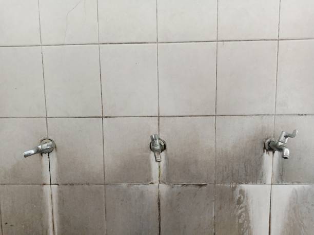 Best Emergency water extraction  in Bethany, WV